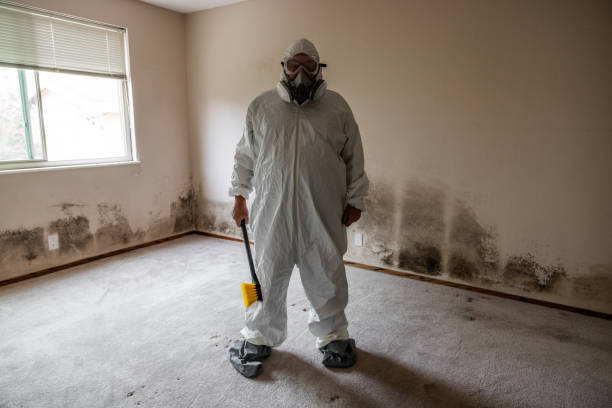 Mold Remediation for Vacation Homes in Vincent, CA